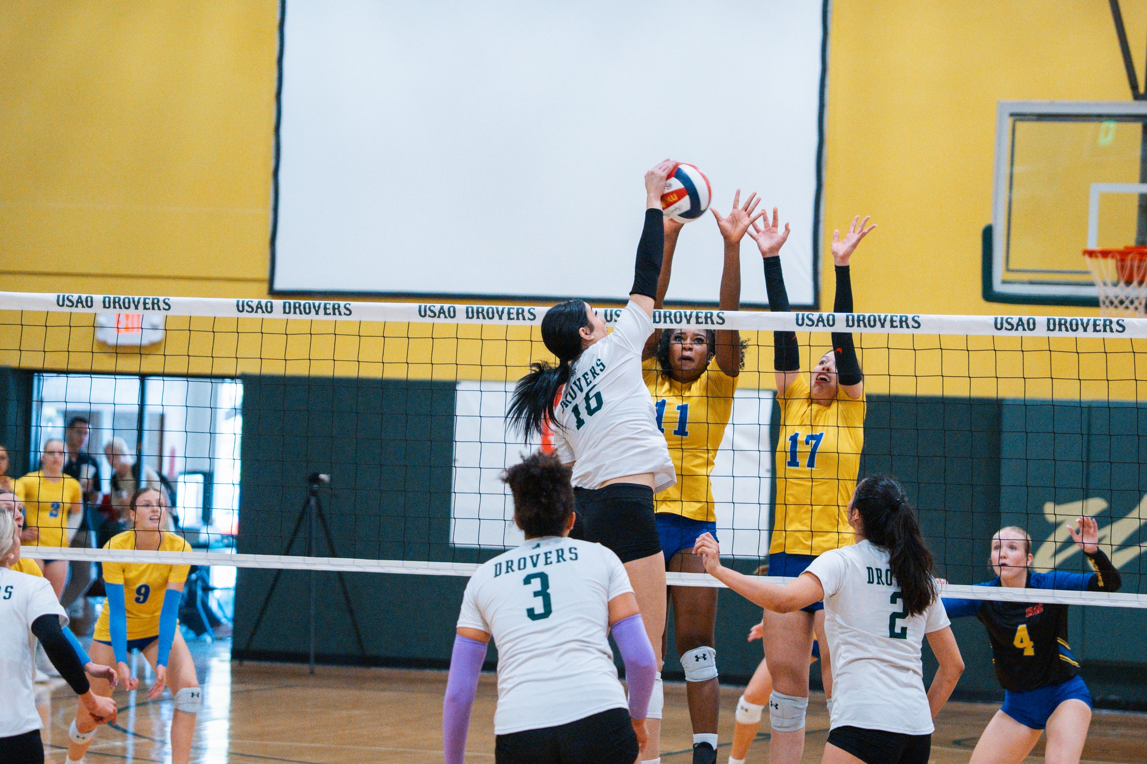 Drovers Go Down in Three Against WBU